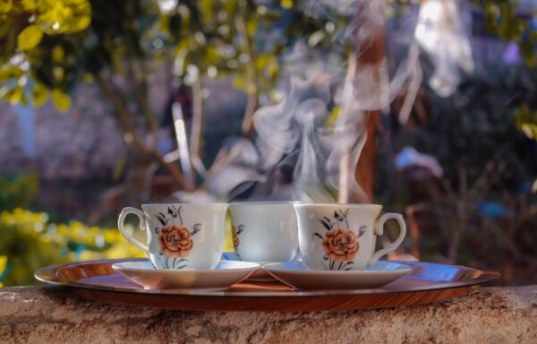21 de maio - Dia Internacional do Chá - Que chá és tu?