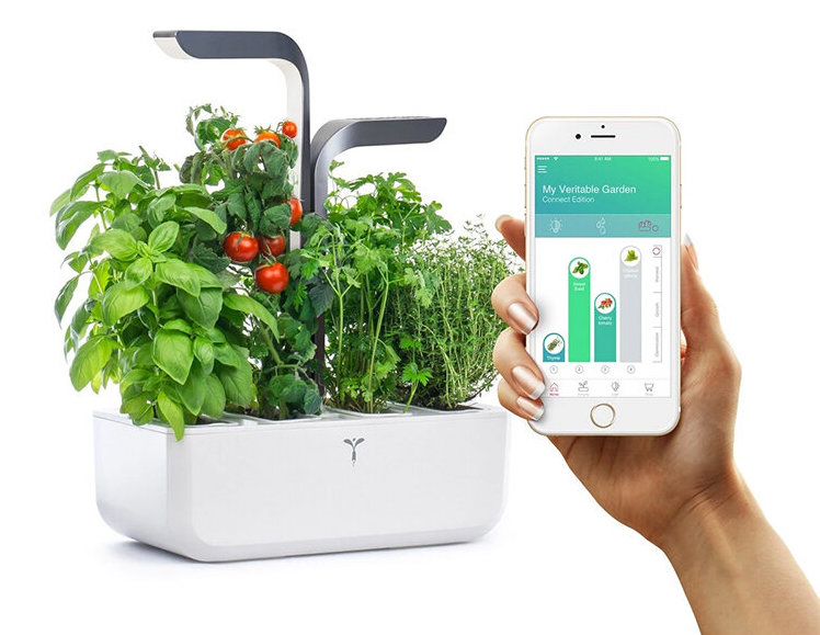Horta Smart: A tecnologia que transforma a forma de cultivar em casa