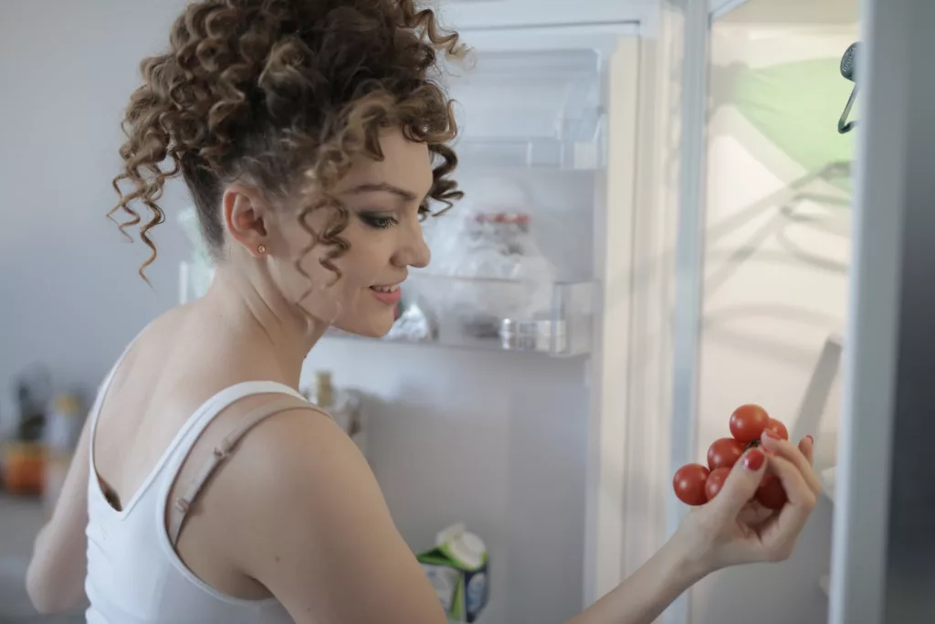 Absorventes de odor para frigoríficos: Mantém a frescura na tua cozinha