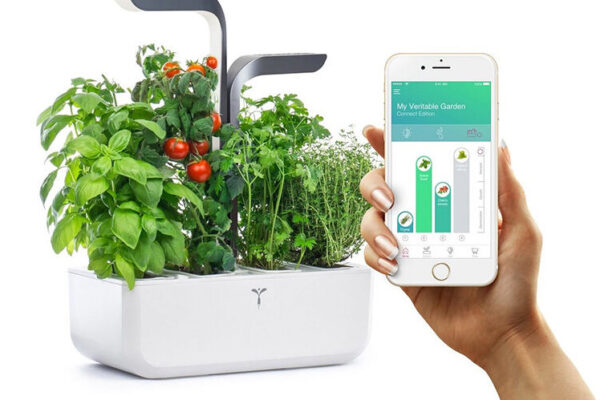 Horta Smart: A tecnologia que transforma a forma de cultivar em casa