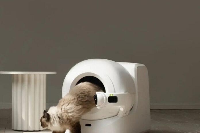 Como escolher a melhor caixa de areia smart para o teu pet