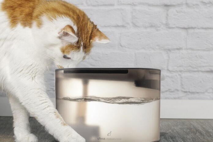  Porque é que o teu gato precisa de um bebedouro automático?
