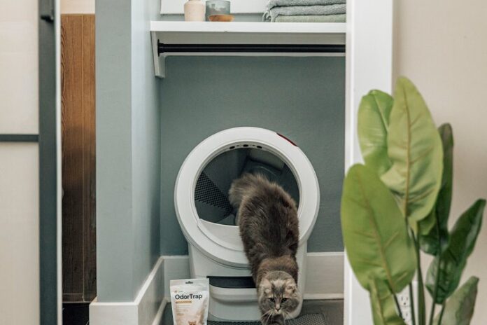 Litter-Robot 4: a caixa de areia inteligente que facilita a tua vida e a do teu gato